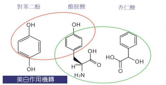 杏仁酸-杏仁酸換膚-杏仁酸效果-杏仁酸煥膚-清粉刺-消痘疤-中壢醫美-桃園醫美-八德醫美-杏仁酸原理