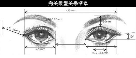 訂書針雙眼皮-割雙眼皮-開眼頭-眼神放大術-蒙古摺-雙眼皮手術