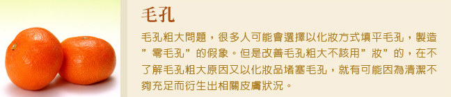 毛孔粗大-毛孔老化-毛孔出油-毛孔粗大醫美-縮毛孔-毛孔雷射效果
