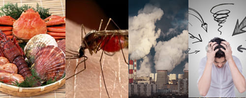 蕁麻疹-過敏原檢測-減敏治療-慢性蕁麻疹-及性蕁麻疹