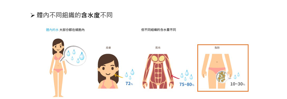 彤顏診所-減肥-減重-瘦身-隔空減脂-體外減脂-貴妃減脂-電波減脂-溶脂-vanquish-瘦大腿-含水量