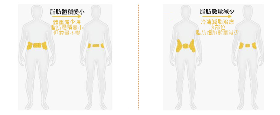 冷凍減脂-彤顏診所冷凍減脂-酷塑冷凍減脂-冷凍減脂手臂-冷凍減脂費用-瘦大腿-瘦腰腹-瘦手臂-桃園冷凍減脂-