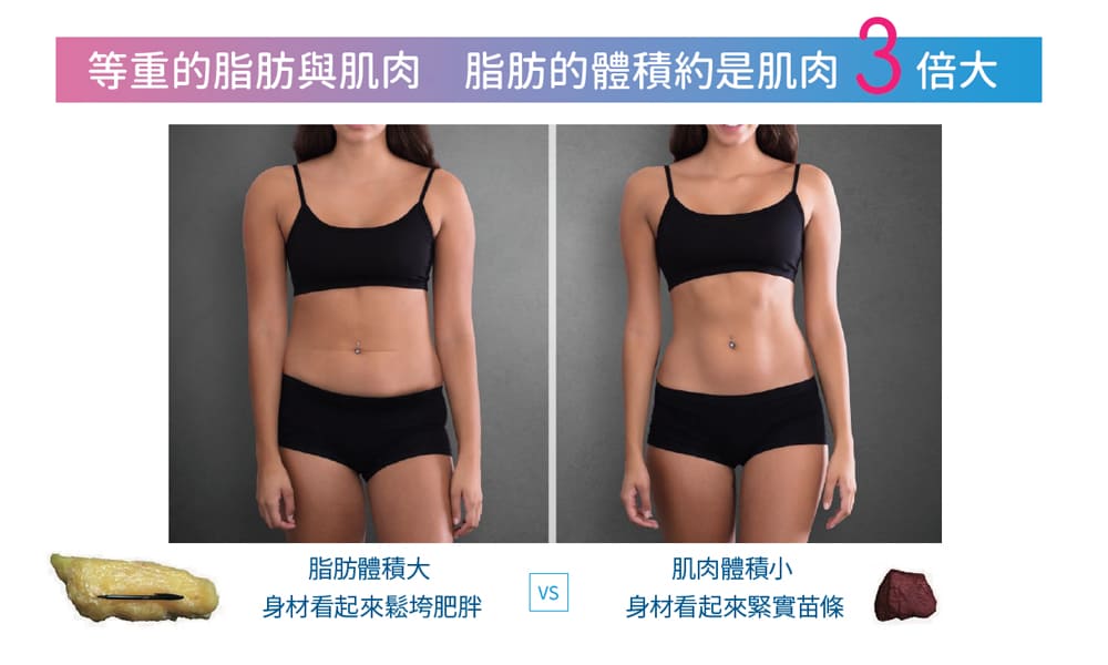 肌動減脂效果-肌動減脂-增肌減脂-腹直肌分離-腹肌醫美-腹直肌修復-產後小腹肥胖-馬甲線